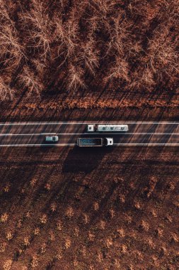 Sonbahar günbatımında ağaçlık alandan geçen iki kamyon ve arabanın insansız hava aracı fotoğrafı. Sıcak güneş ışığı araçlara ve asfalt yollara uzun gölgeler düşürüyor.