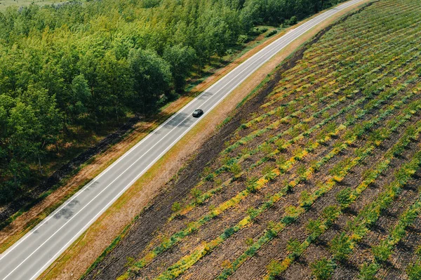 Plano Aéreo Solo Coche Negro Carretera Través Del Paisaje Arbolado — Foto de Stock