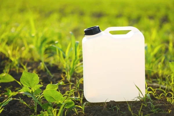 Herbicide Canister Can Sunflower Sprout Field Selective Focus — Stock Photo, Image