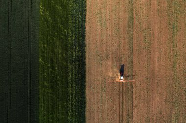 Tarımsal traktörün ekin püskürtücüsüyle havadan çekilmiş görüntüsü mısır tarlasının üzerine bitki öldürücü kimyasallar sıkıyor.