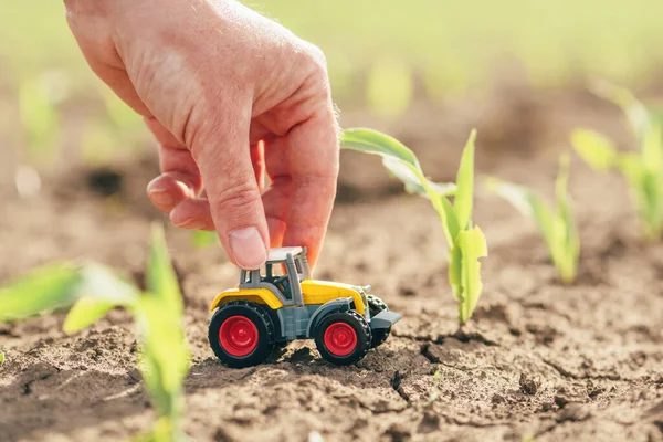 Perempuan Tangan Petani Memegang Miniatur Mati Model Traktor Mainan Ladang — Stok Foto