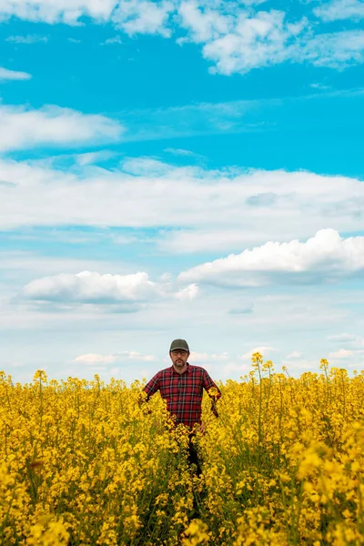 Landarbeiter Mit Rotem Karohemd Und Truckermütze Stehen Einem Blühenden Rapsfeld — Stockfoto