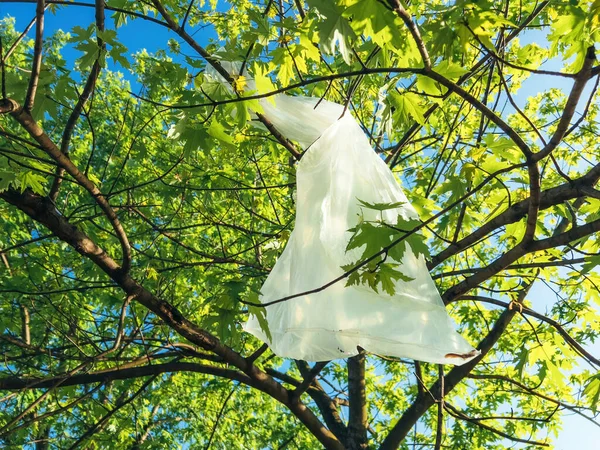 Zanieczyszczenia Zaśmiecanie Biały Plastikowy Worek Zakupy Utknął Latem Gałęziach Drzew — Zdjęcie stockowe