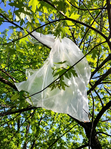 Pollution Littering White Plastic Shopping Bag Pouch Stuck Treetop Branches — Stock fotografie