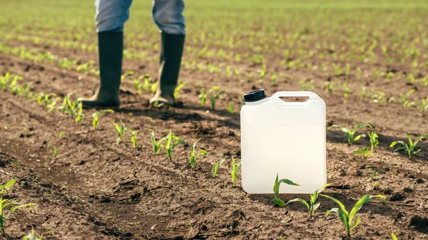 Herbizidkännchen Container Maissetzling Feld Landwirt Geht Hintergrund Wahlfach Schwerpunkt — Stockfoto