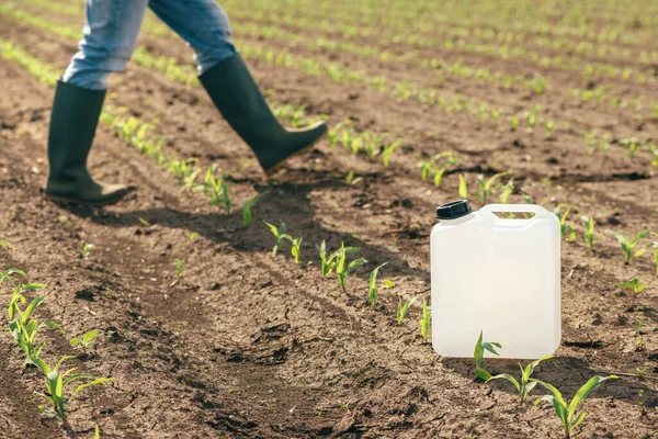 Herbicide Jug Container Corn Seedling Field Farmer Walking Background Selective — Foto de Stock