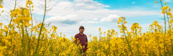 Landarbeiter Mit Rotem Karohemd Und Truckermütze Stehen Einem Blühenden Rapsfeld — Stockfoto