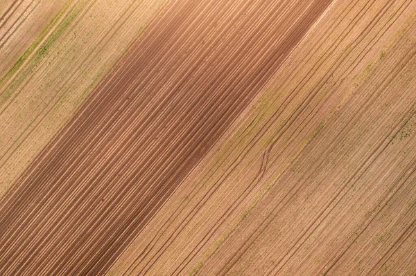 Tractor Tyre Tracks Soil Cultivated Corn Crop Plantation Directly Aerial — Zdjęcie stockowe