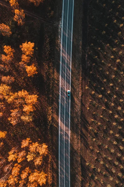 Aerial Shot Single White Car Road Deciduous Forest Fall Top — ストック写真