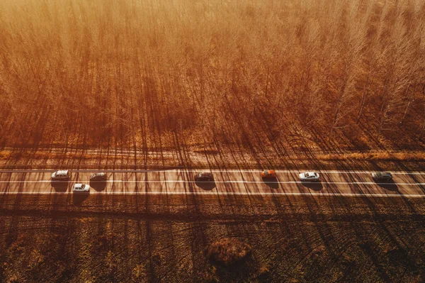Aerial View Cars Road Autumn Afternoon Wooded Landscape Background Drone — Fotografia de Stock