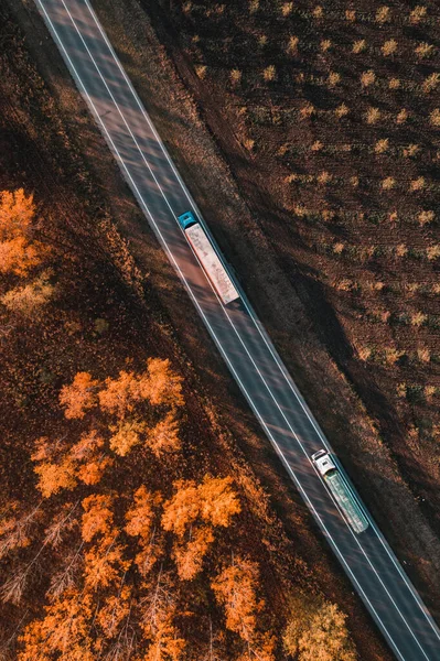 Aerial Shot Two Trucks Road Deciduous Forest Fall Afternoon Drone — ストック写真