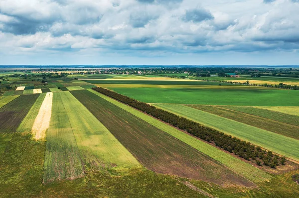 Aerial Shot Beautiful Countryside Landscape Cultivated Fields Banat Geographical Region — 图库照片