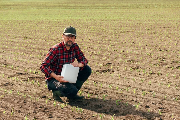 Corn Crop Protection Concept Male Farmer Agronomist Holding Jerry Can —  Fotos de Stock