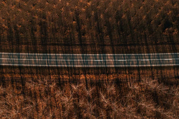 Aerial View Empty Road Wooded Landscape Autumn Afternoon Top View — Stockfoto