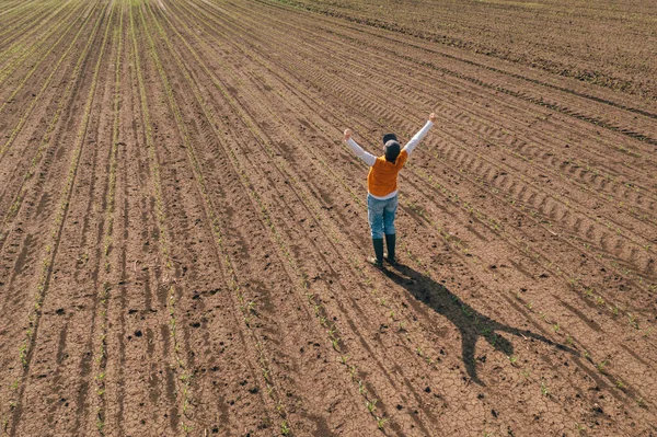 Successful Corn Farmer Wearing Trucker Hat Standing Corn Sprout Field — Zdjęcie stockowe