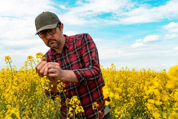 Farm Worker Wearing Red Plaid Shirt Trucker Hat Standing Cultivated — Stockfoto