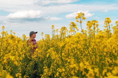Kırmızı ekose gömlek ve kamyoncu şapkası giyen kadın tarım işçisi çiçek açmış kolza tohumu tarlasında dikiliyor ve ekinlere bakıyor.