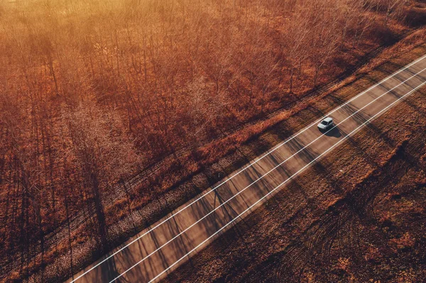 道路上の車は 単一の白い車の秋の日没で森林を介して道路を運転のドローン写真 — ストック写真