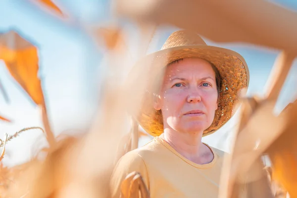 Женщина Агроном Фермер Стоящая Зрелом Урожае Готовая Вмятина Кукурузного Поля — стоковое фото