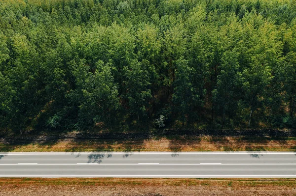 Aerial Shot Empty Highway Road Poplar Tree Wooded Landscape Background — Stock Photo, Image