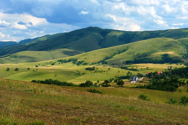 Όμορφο Γραφικό Τοπίο Περιοχή Zlatibor Διακριτικό Αρχιτεκτονικό Στυλ Σπίτια Διάσπαρτα — Φωτογραφία Αρχείου