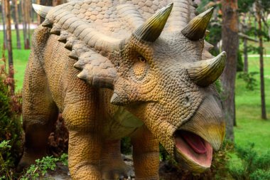 Sırbistan 'ın Zlatibor kenti - 9 Temmuz 2022: Chasmosaurus veya Mojoceratops dinozor tema parkındaki figürü. Bu, Kuzey Amerika 'nın Kretase Dönemi' nden bir ceratopsid dinozor cinsiydi.