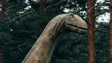 Zlatibor, Sırbistan - 9 Temmuz 2022: Ruyangosaurus (Ruyang County kertenkelesi) dinozor tema parkında, seçici odak noktası