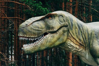 Sırbistan 'ın Zlatibor kenti - 9 Temmuz 2022: Tyrannosaurus rex veya T-rex dinozoru uzun çam ağaçlarıyla çevrili bir lunaparkta