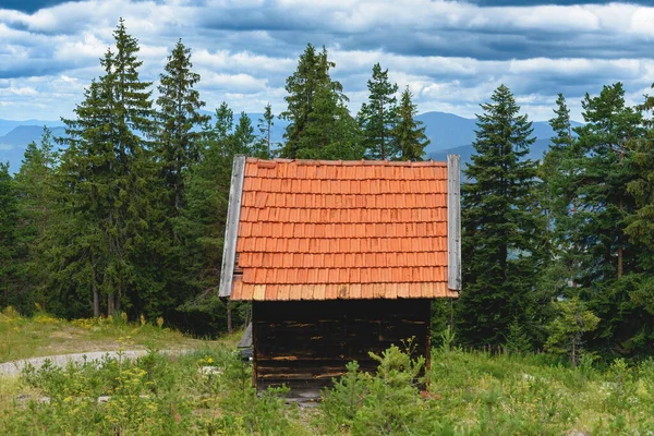 Wooden mountain cottage on Zlatibor, selective focus