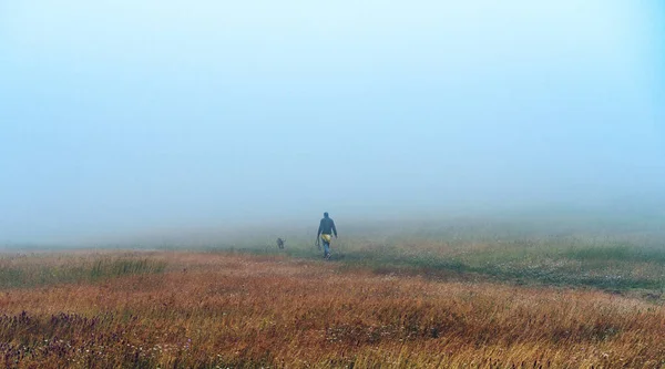 Homem Caminhando Cão Através Vale Grama Manhã Nebulosa Outono — Fotografia de Stock