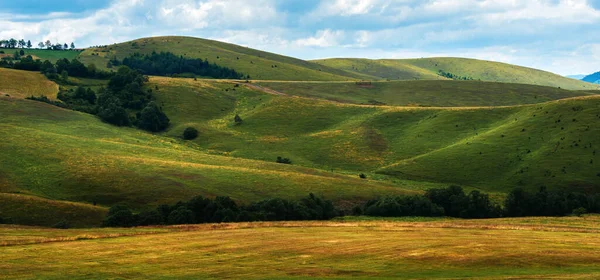 Зеленый Златибор Горный Холм Пейзаж Красивыми Облаками Заднем Плане Панорамное — стоковое фото