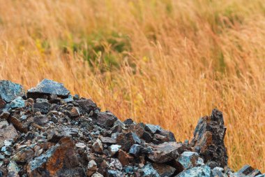 Sırbistan 'ın Zlatibor kentinde kaya molozları ve kuru çimenler