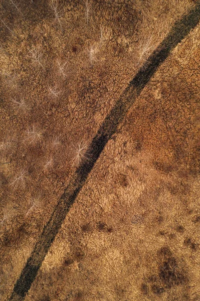 未栽培の落葉樹と乾いた草で覆われた未開発の風景を通して湾曲した未舗装の道路の空中ショット 抽象的な自然の背景としてドローンのPov写真の真上 — ストック写真