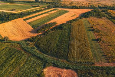 Yaz günbatımında drone pov 'dan ekilmiş ekin tarlalarıyla kırsal arazinin hava görüntüsü. Tarımsal tarım arazisi olan renkli bir manzara. Yüksek açı görünümü.