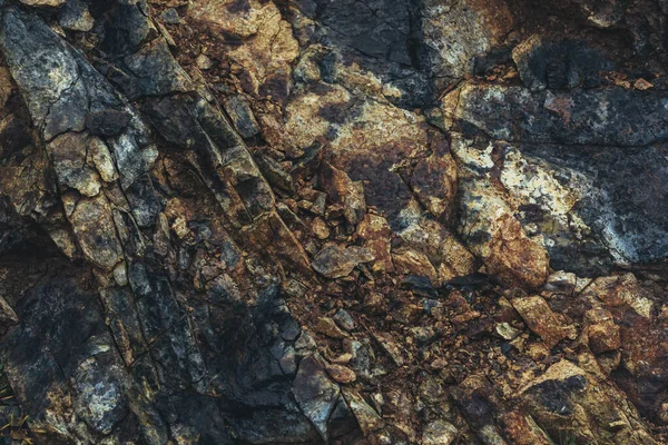 Stenen Klif Textuur Als Achtergrond Detail Van Zlatibor Berg Servië — Stockfoto