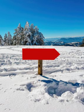 Zlatibor Dağı 'nda kışın karla kaplı çam ormanında yön ve rehberlik işareti