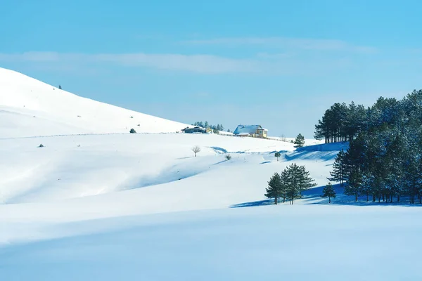 Idylický Zlatibor Krajina Pod Sněhem Zimě Dům Kopci Borovým Lesem — Stock fotografie