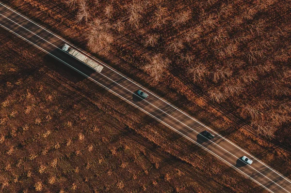 Caminhão Longo Veículo Três Carros Que Conduzem Estrada Através Floresta — Fotografia de Stock