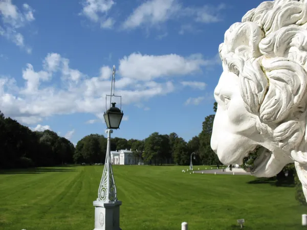 The view from the palace on the Elagin Oil meadow. St. Petersburg, Yelagin Island — Stock Photo, Image