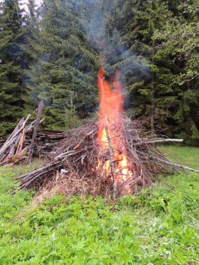Orman kenarında ateşin ortasına