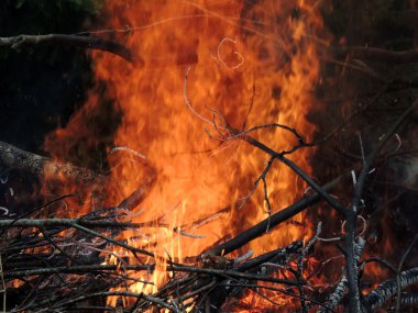 arka içinde yanan odun dalları