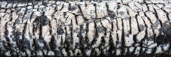 Charred piece of wood, background — Stock Photo, Image