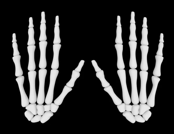 骸骨の手のペアの 3 d レンダリング — ストック写真