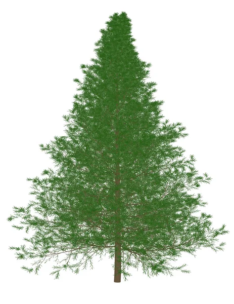 一棵松树的 3d 渲染 — 图库照片