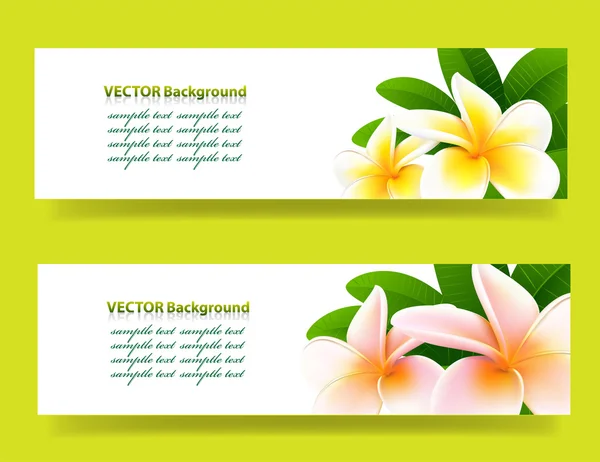 Banner met orchideeën, floral vector achtergrond — Stockvector