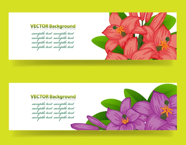 Banner com orquídeas, fundo vetorial floral — Vetor de Stock