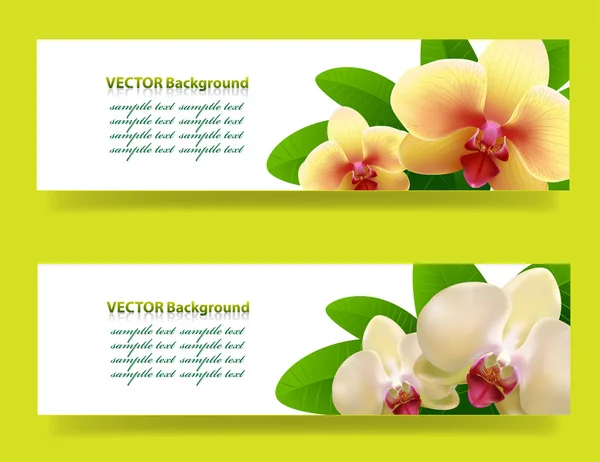 Banner mit Orchideen, floraler Vektorhintergrund — Stockvektor