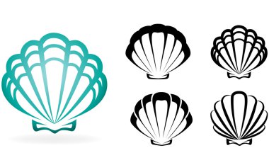 Shell collection - vector silhouette illustration clipart