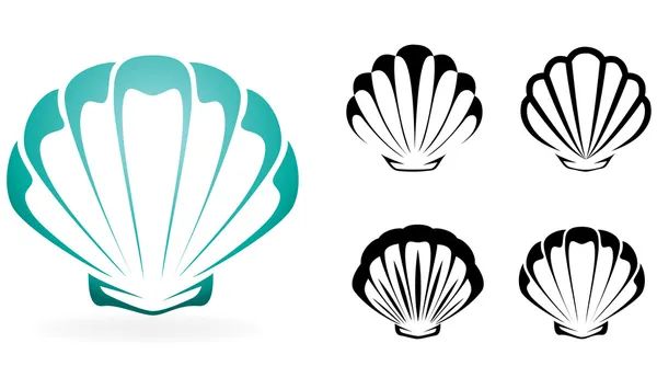 Shell collection - vector silhouette illustration — Stock Vector