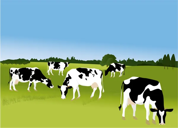 Five cows — Stock Vector